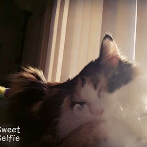 Meet your Posher, Vanessa